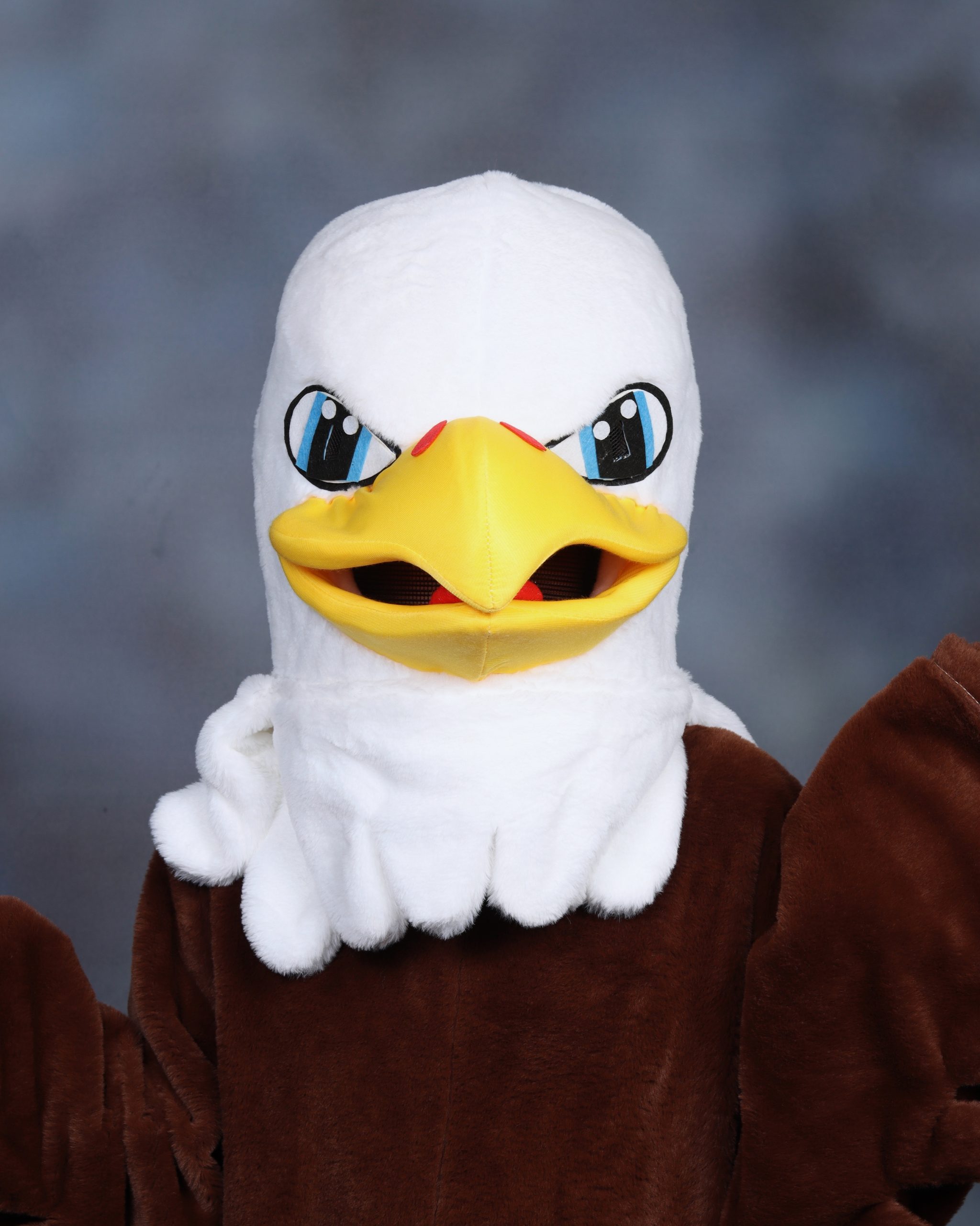 Eddie Eagle : School Spirit